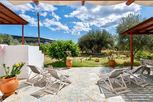 The garden in the Blue Fish rooms in Sifnos